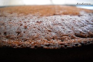 Tort Padurea Neagra