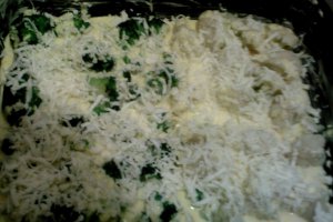 Conopida si broccoli la cuptor