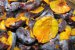 Magiun de prune-1