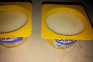 Danette de casa