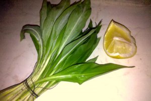 Salata de leurda