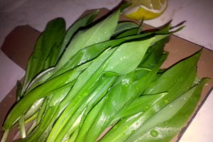 Salata de leurda
