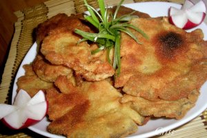 Pleurotus pane