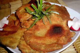 Pleurotus pane