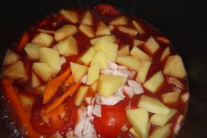 Pui portughez