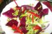 Salata de radicchio cu piept de pui in stil asiatic a la Nico-0