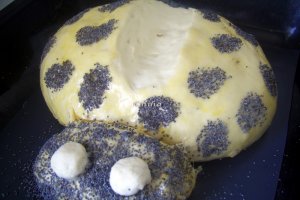 Paine buburuza