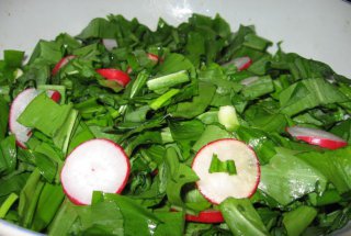 Salată de leurda