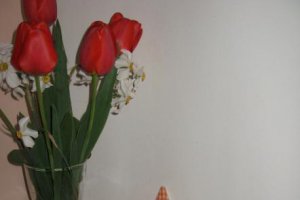 Oua vopsite de Paste si Inaltare