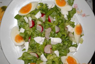 Salata cu ridichi si oua