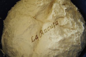 Paine de casa a la Jamie
