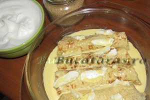 Clatite banatene