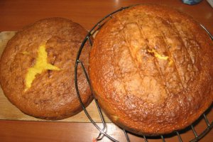 La multi ani, iepuras de un anisor!