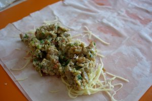 Portofele cu ciuperci si piept de pui