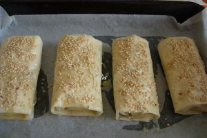 Portofele cu ciuperci si piept de pui