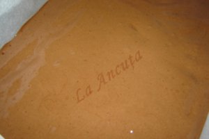 Prajitura cu ciocolata si nuca de cocos