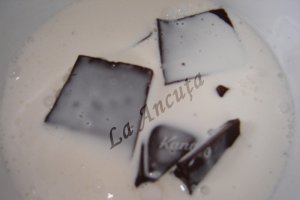 Prajitura cu ciocolata si nuca de cocos