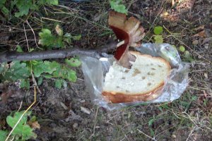 Clisă friptă şi pită picurată
