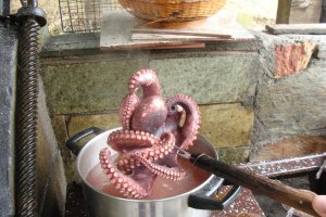 Sithonian Seafood - by Fireman:)... sau fructe de mare Sithoniene:)
