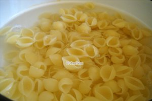 Scoici cu pui si legume