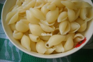 Scoici cu pui si legume
