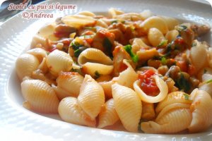 Scoici cu pui si legume