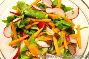 Salata verde cu morcov si ridichi
