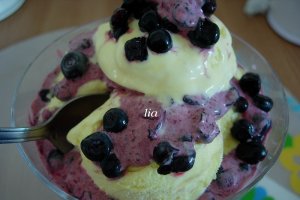 Inghetata de vanilie cu fructe de coacaze