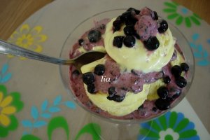 Inghetata de vanilie cu fructe de coacaze