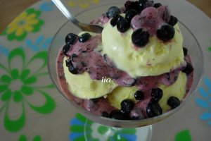 Inghetata de vanilie cu fructe de coacaze