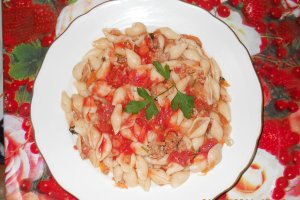 Conchiglie