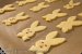 Biscuiti pentru iepuras-2
