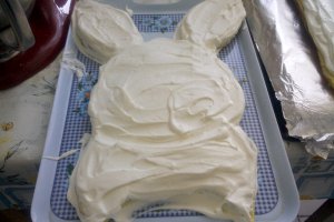 Tort iepurila