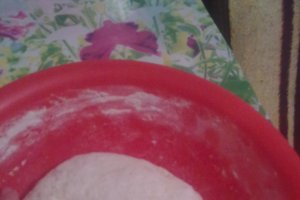 Paine floarea soarelui