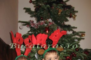 Craciun Fericit tuturor bucatarasilor!!