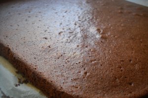 Prajitura cu mascarpone si caise