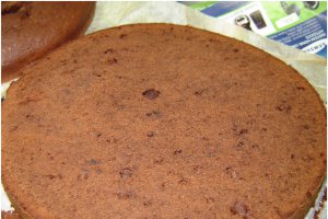 Tort de ciocolata amaruie