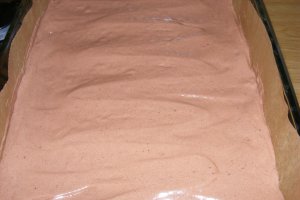 Prajitura ciocolatoasa cu nuca de cocos