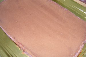 Prajitura ciocolatoasa cu nuca de cocos