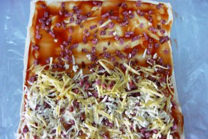 Foietaj rasucit