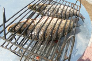 Crapcean la gratar special pentru Bunica