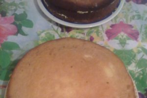 Tort Diplomat