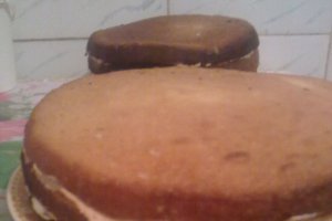 Tort Diplomat