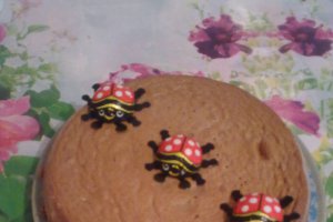 Blat de tort cu cacao