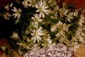 Lamingtons