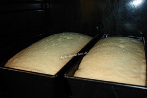 Pandispan de casa