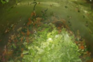 Ciorba de salata