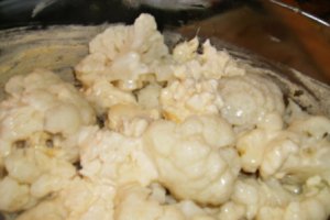 Gratin de conopida