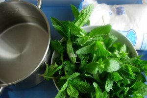 Sirop natural din menta