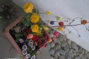 Ciorba de legume